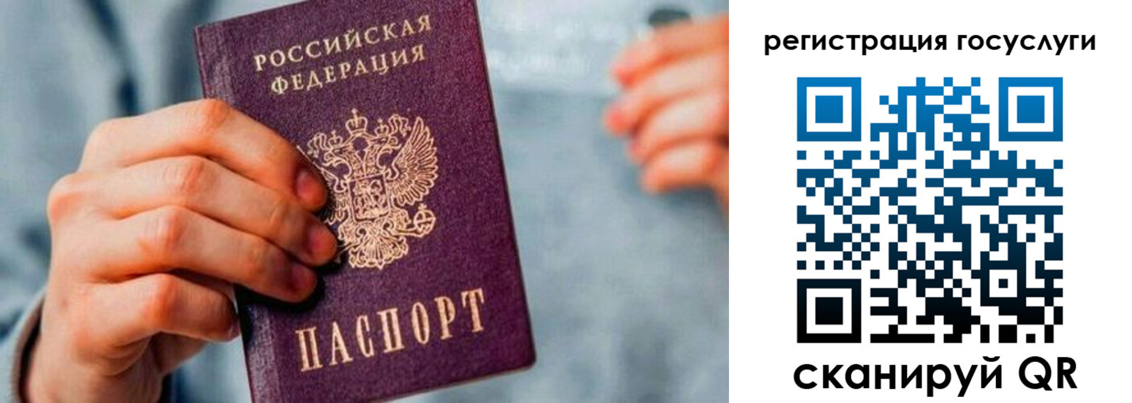 форма 3 в Новозыбкове